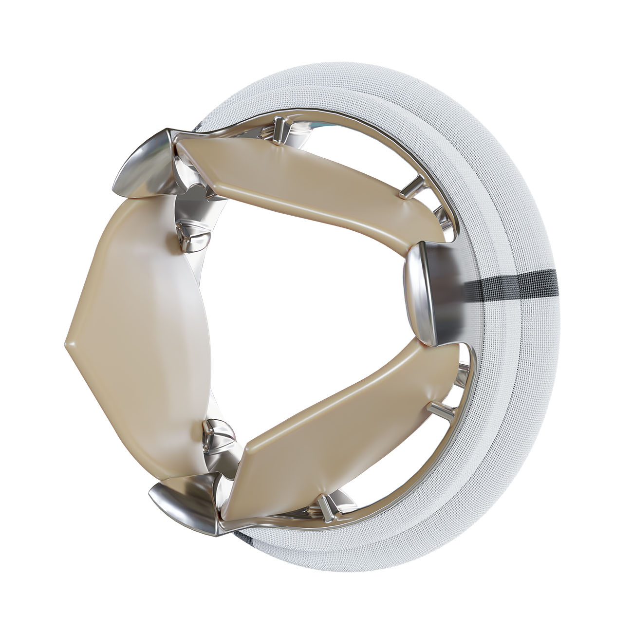 Knstliche Herzklappe - MPS Micro Precision Systems SA